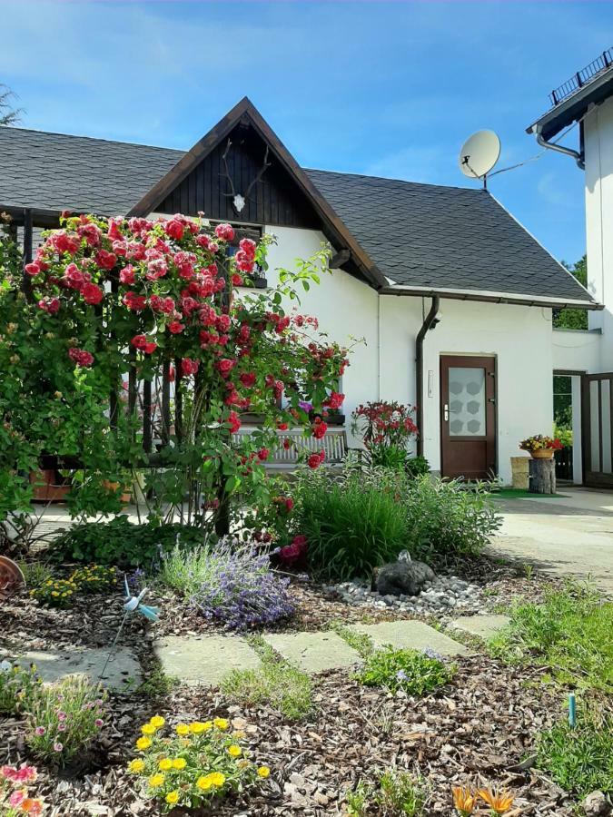 Ferienhaus Schoene هونشتاين المظهر الخارجي الصورة